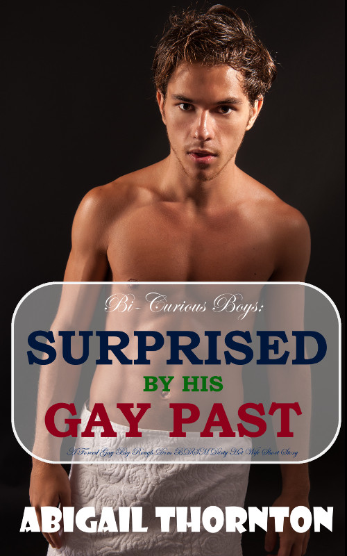 Bi-Curious Boys: Surprised By His Gay Past